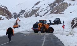 Güzeldere Geçidi’nde çığ felaketi: Araçlar mahsur kaldı