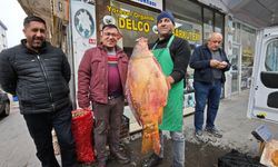 Ahlat'ta dev sazanlara yoğun ilgi