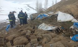 Van’da ahır çöktü: 23 küçükbaş hayvan telef oldu