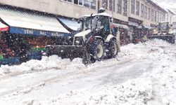 Bitlis Belediyesi'nin Karla Mücadele Ekipleri Sahada