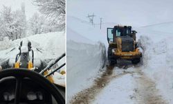 Bitlis’te Kar Yağışı Sonrası Ekipler Kapanan Köy Yollarını Açıyor