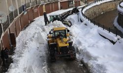 Bitlis’te Kapanan 300 Köy Yolundan 218’i Ulaşıma Açıldı