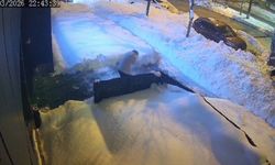 Bitlis'te çatıdan düşen kar kütlesi az daha can alıyordu