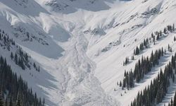 Bitlis, Van, Muş ve Hakkari’de Beklenen Çığ Riskine Dikkat!