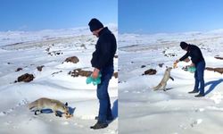 Bitlis'te İşçilerden Tilkiye Şefkat Eli