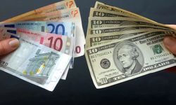 Döviz Kurları Yükselişte