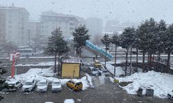 Bitlis'te kar yağışı etkili oluyor