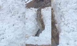 Bitlis'te köy yoluna çığ düştü