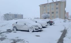 Bitlis'te mart ayının son günlerinde kar yağışı etkili oluyor