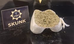 Yolcu otobüsünde 2 kilo 72 gram skunk ele geçirildi