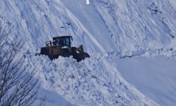 Bitlis'te mart ayında karla mücadele çalışmaları sürüyor