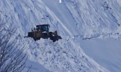 Bitlis’te karla kapanan köy yolları bir bir açılıyor