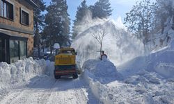 Bitlis Belediyesi Tüm İmkanlarıyla Sahada