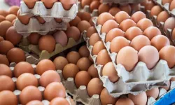 Yumurta fiyatlarında sert düşüş: 30’lu koli 100 TL’ye kadar geriledi