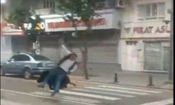 Batman’da Yaban Domuzu Paniği: Şehir Merkezinde Bir Kişi Yaralandı