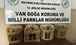 Kafes avcılığı yapan kişiye 86 bin lira ceza kesildi
