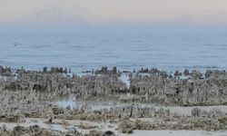 Van Gölü’nde kuraklık alarmı: Adilcevaz sahilinde mikrobiyalitler gün yüzüne çıktı