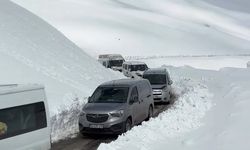 Bahçesaray-Hizan Yoluna Çığ Düştü: Ulaşım 4 Saat Durdu