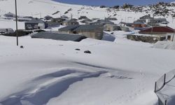 Bitlis'te nisan ayında kara gömülen mahalleye bahar gelmedi