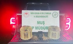 Kaçak keklik avlayan şahsa 65 bin TL ceza kesildi