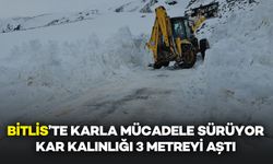 Bitlis'te Karla Mücadele Sürüyor: Kar Kalınlığı 3 Metreyi Aştı