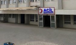 3 yaşındaki çocuk süs havuzunda boğulma tehlikesi geçirdi