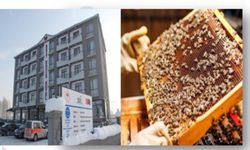 IPARD III 2026 Yılı Çağrı Takvimi Açıklandı: 241 Milyon Avro Hibe Desteği Geliyor