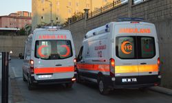 Siirt'te ağaç budarken kolunu kesen 70 yaşındaki adam kalp krizi geçirdi