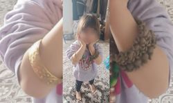 Bitlis'te evin önünde oynarken kaybolan 4 yaşındaki kız çocuğundan haber alınamıyor