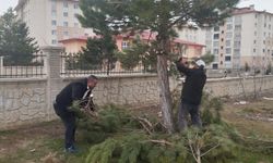 Bitlis'te Okul Aile Birliği Başkanı Köroğlu’ndan Örnek Davranış