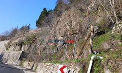 Bitlis'te mahalle sakinlerinden düşen kaya parçalarına tepki