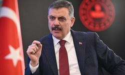 Bakan Çiftçi'den Gülistan Doku soruşturmasına ilişkin açıklama