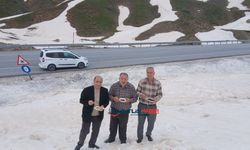 Bitlis'in yüksek rakımlı yaylalarında karlı pekmez keyfi