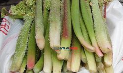 Yayla muzu fiyatıyla büryan kebabını geride bıraktı