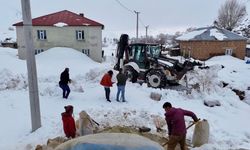 Bitlis İl Özel İdaresi Tarafından Karla Mücadelede Yaklaşık  600 Bin Litre Yakıt Tüketildi