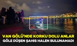 Van Gölü’nde Korku Dolu Anlar: Göle Düşen Şahıs Aranıyor