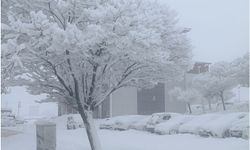 Bitlis’te Mevsimin Adı Bahar, Yaşamın Adı Kış