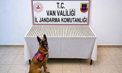 Van’da 8 İranlı’nın Midesinden 3 Kilo Esrar Çıktı