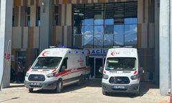 Van’da Bayramın İlk Gününde 171 Acemi Kasap Hastanelik Oldu