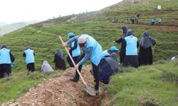 Bitlis’te 10 Bin Fidan Toprakla Buluştu