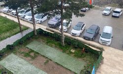 Bitlis'te dolu yağışı etkili oldu? Meyve ağaçları zarar gördü mü?