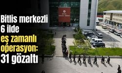 Bitlis merkezli 6 ilde eş zamanlı operasyon: 31 gözaltı