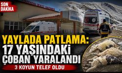 Yaylada Patlama: Bir Çoban Yaralandı, 3 Koyun Telef Oldu