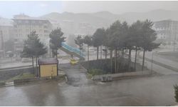 Bitlis'te kısa süreli sağanak ve kuvvetli rüzgar etkili oldu