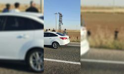Elektrik akımına kapılan şahıs direğe asılı kaldı