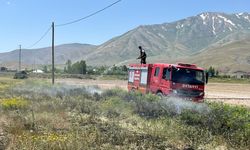 Van'da Korkutan Anız Yangını