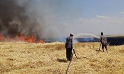 Diyarbakır'da Yüzlerce Dönümlük Arazi Alevlere Teslim Oldu