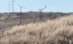 Bitlis, Diyarbakır, Batman... Tehlike "geliyorum" diyor!