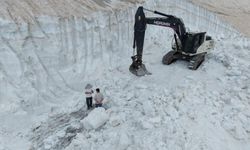 Bitlis'in yanı başında yaz mevsiminde kartopu keyfi