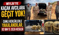 Bitlis'te Canlı Kekliklerle Yakalandılar, 92 Bin TL Ceza Kesildi